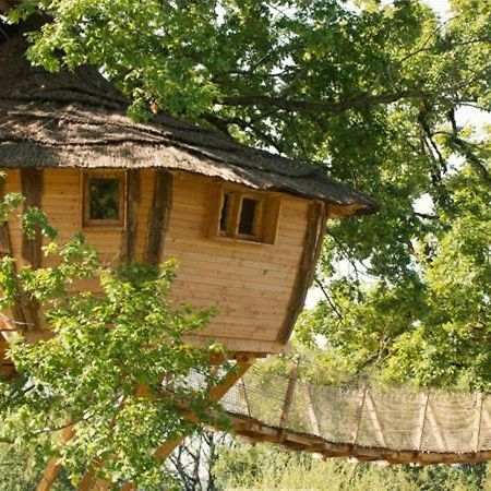Cabane Perchee Dans Les Arbres Saint-Hilaire-en-Morvan 외부 사진