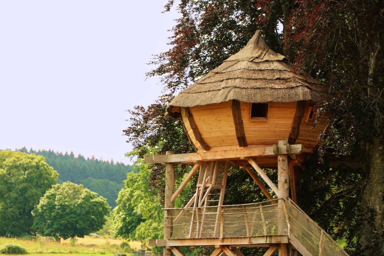 Cabane Perchee Dans Les Arbres Saint-Hilaire-en-Morvan 외부 사진