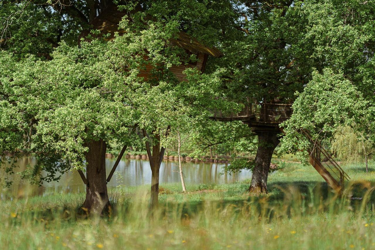 Cabane Perchee Dans Les Arbres Saint-Hilaire-en-Morvan 외부 사진