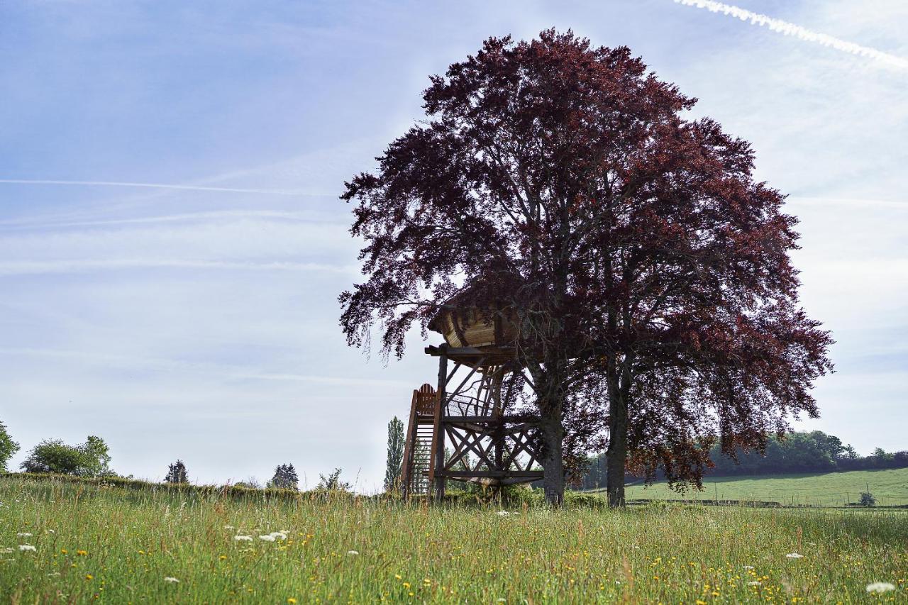 Cabane Perchee Dans Les Arbres Saint-Hilaire-en-Morvan 외부 사진