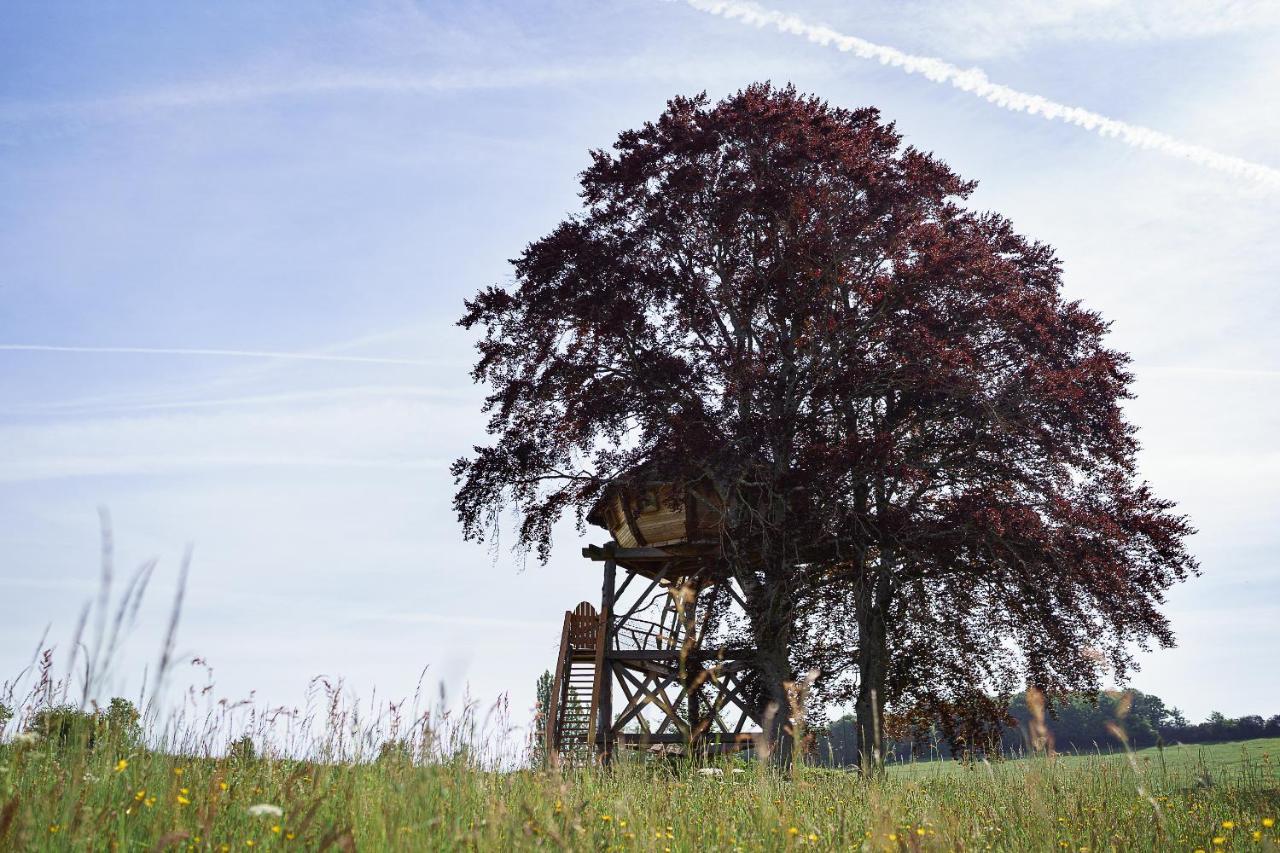 Cabane Perchee Dans Les Arbres Saint-Hilaire-en-Morvan 외부 사진