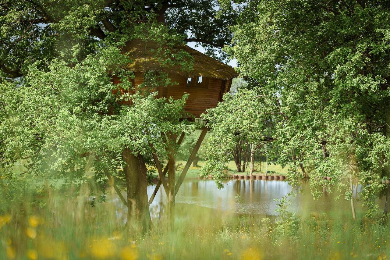 Cabane Perchee Dans Les Arbres Saint-Hilaire-en-Morvan 외부 사진