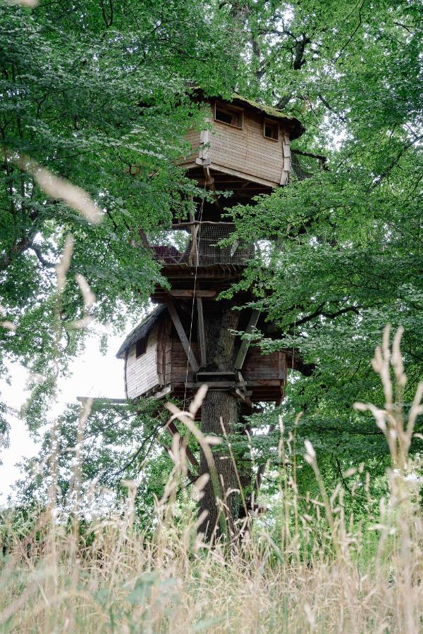 Cabane Perchee Dans Les Arbres Saint-Hilaire-en-Morvan 외부 사진