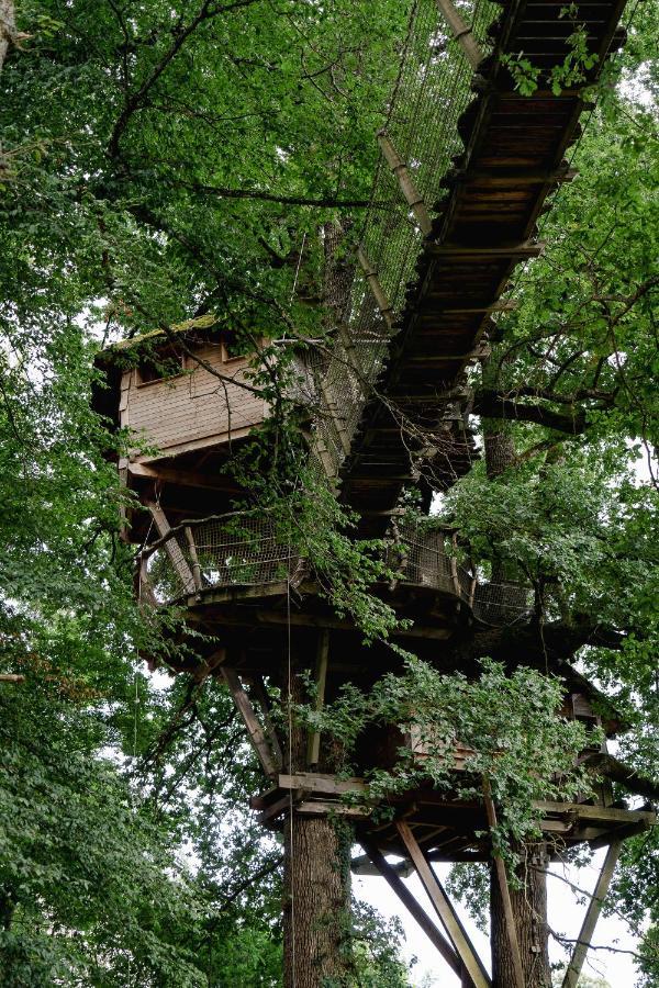 Cabane Perchee Dans Les Arbres Saint-Hilaire-en-Morvan 외부 사진