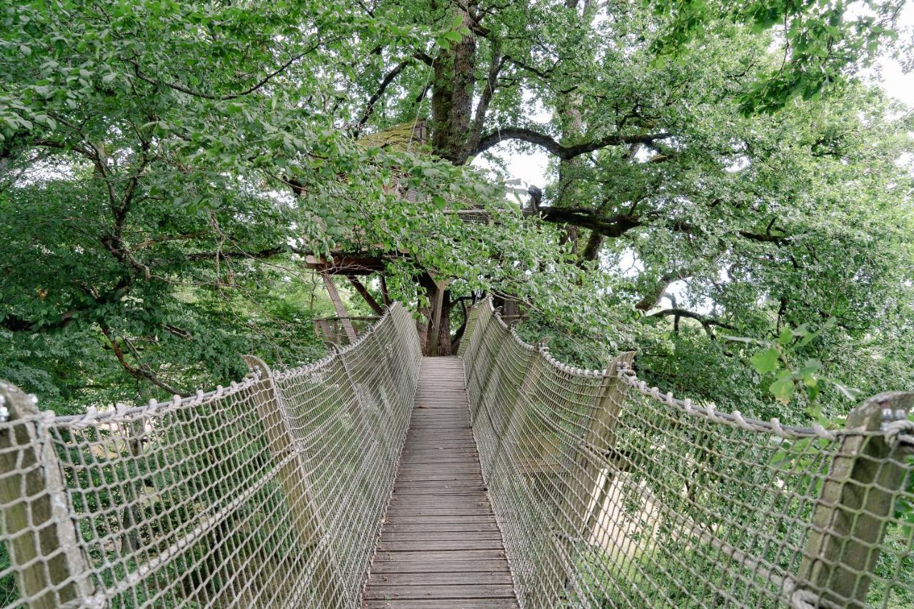 Cabane Perchee Dans Les Arbres Saint-Hilaire-en-Morvan 외부 사진