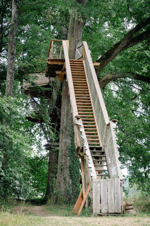 Cabane Perchee Dans Les Arbres Saint-Hilaire-en-Morvan 외부 사진