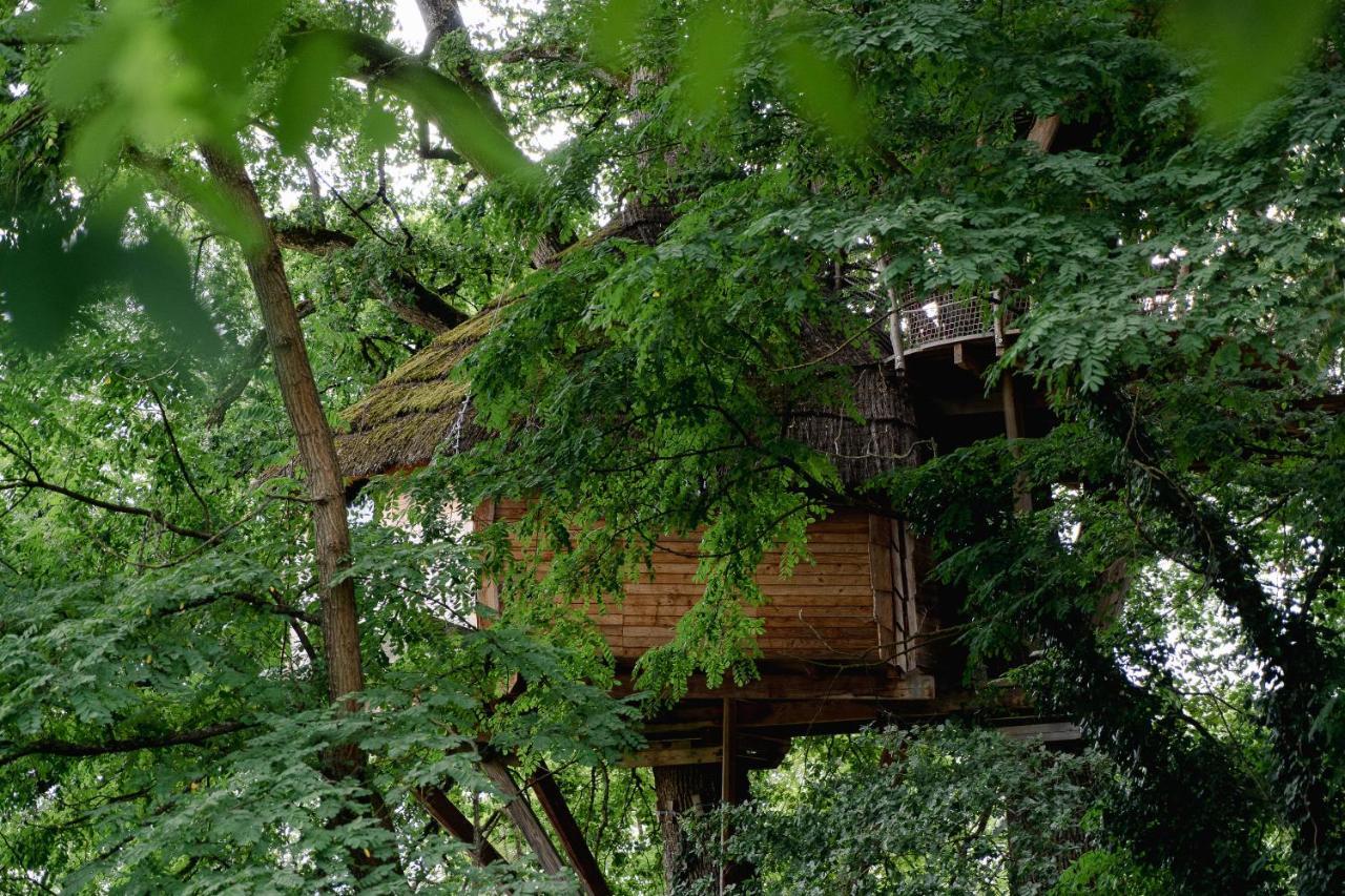 Cabane Perchee Dans Les Arbres Saint-Hilaire-en-Morvan 외부 사진