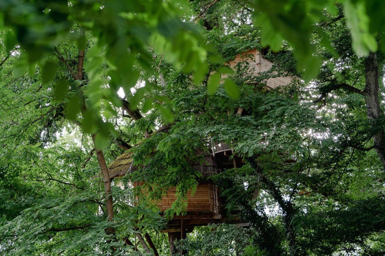 Cabane Perchee Dans Les Arbres Saint-Hilaire-en-Morvan 외부 사진